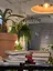 사진 · 2026.08.29 15:28